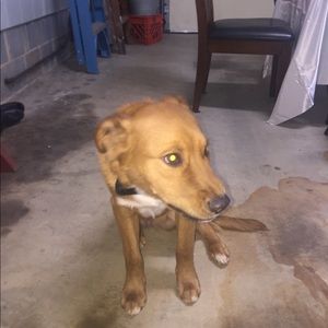 Meet your Posher, Chrissy